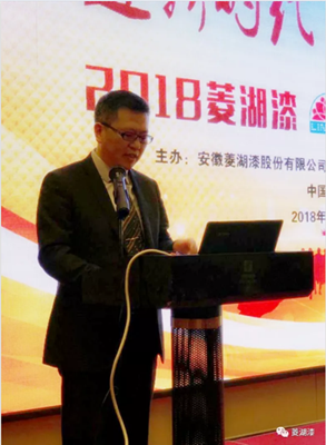 2018糖心LOGO官方网站在线观看漆营销战略论坛在合肥隆重举行