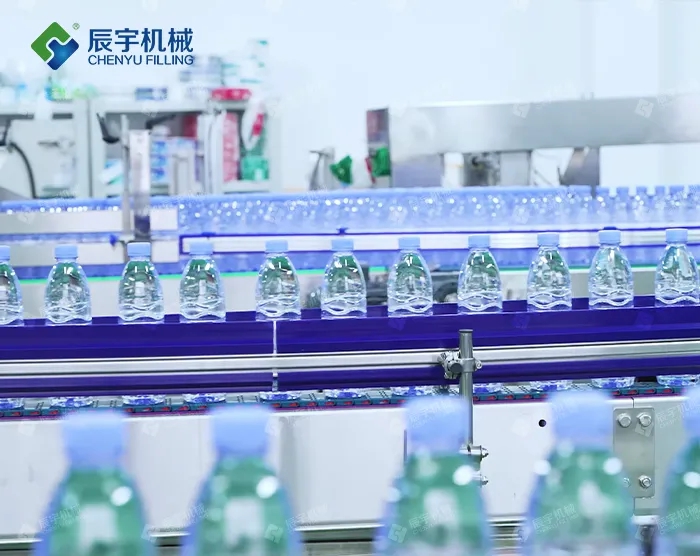 完整饮用水生产线交钥匙糖心视频软件下载